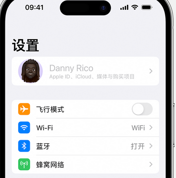 广河appleID维修服务iPhone设置中Apple ID显示为灰色无法使用 