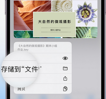 广河apple维修中心分享iPhone文件应用中存储和找到下载文件