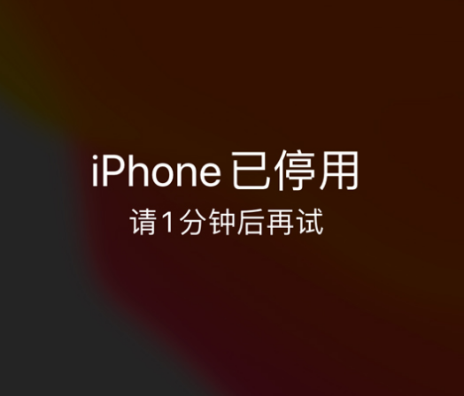 广河苹果手机维修分享:iPhone 显示“不可用”或“已停用”怎么办？还能保留数据吗？ 