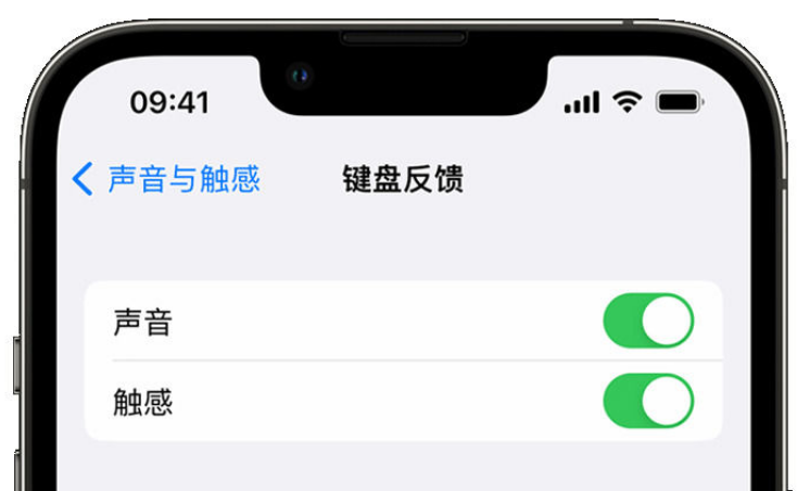 广河苹果手机维修分享iPhone 14触感键盘使用方法 