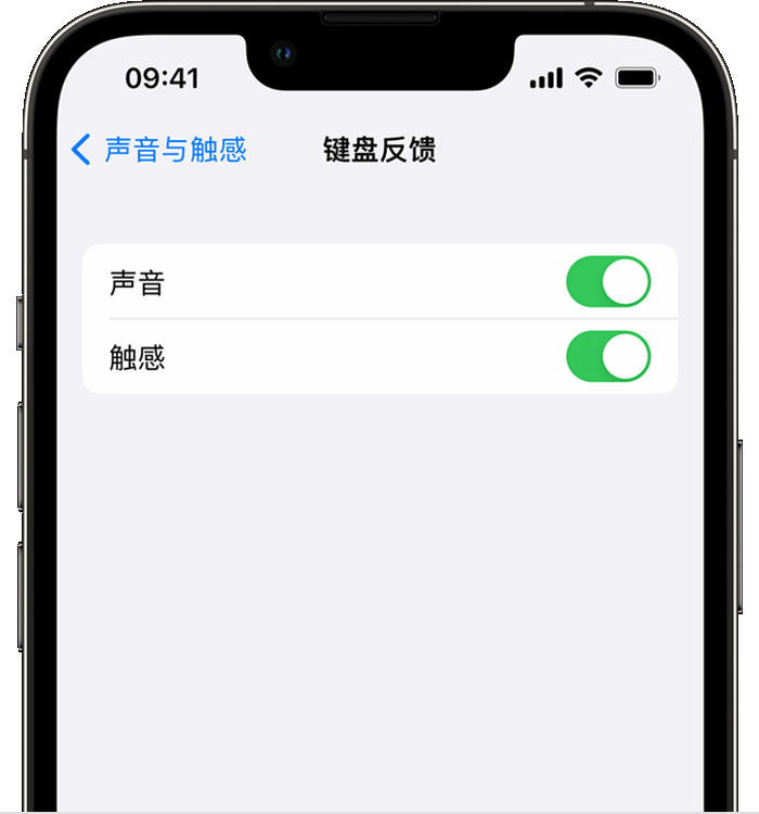 广河苹果14维修店分享如何在 iPhone 14 机型中使用触感键盘 