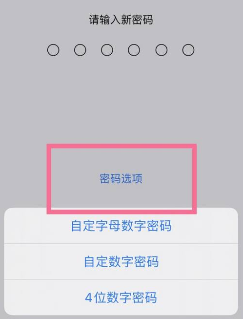 广河苹果14维修分享iPhone 14plus设置密码的方法 