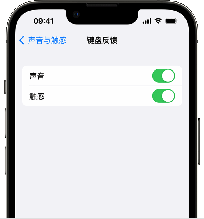 广河苹果14维修分享iPhone 14 系列机型如何开启键盘声音或触感反馈 