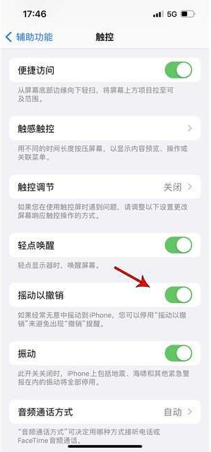 广河苹果手机维修分享iPhone手机如何设置摇一摇删除文字 