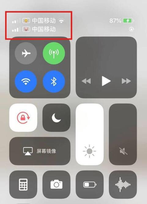 广河苹果手机维修分享为 iPhone 12 双卡设置标签 